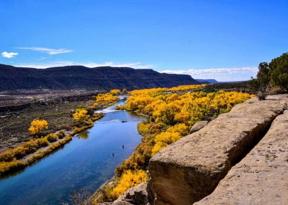New Mexico: San Juan River